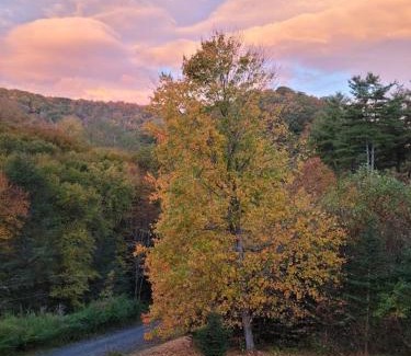 Blowing Rock House | Pine Creek Cabin