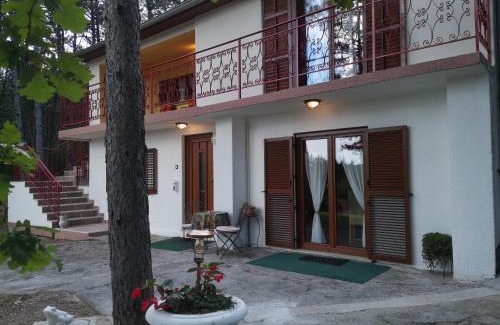 Socerga House | Pineta