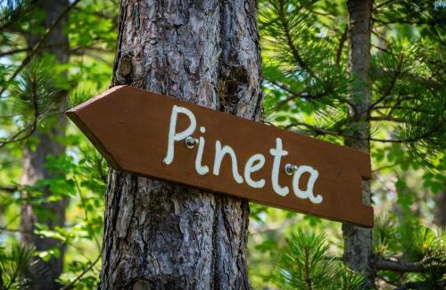 Socerga House | Pineta