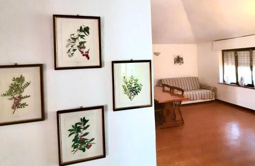 Siniscola House | Pineta sul mare S'Ena e Sa Chitta