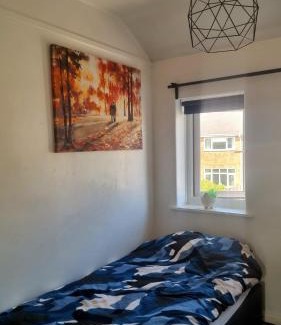 Warrington House | Piotr House
