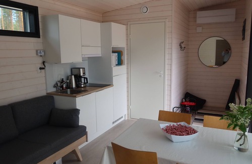 Puumala Cabin | Pistohiekka Resort