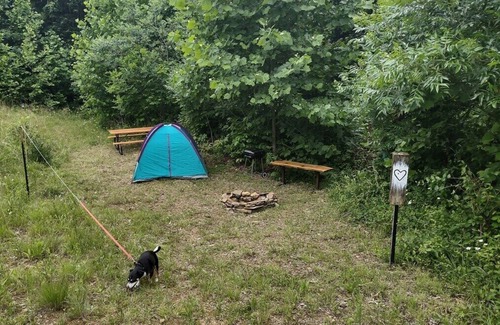 Laurelville RV Rental | Pitch a Tent at Camp Heart Hocking Hills