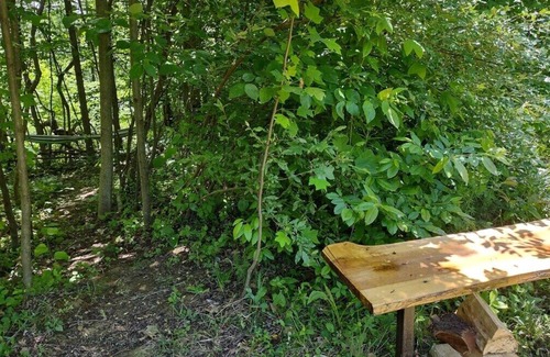 Laurelville RV Rental | Pitch a Tent or Park a 20 ft or Smaller Camper at Camp Shroom Hocking Hills