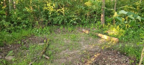 Jakunowko Other | Place for tent - Miejsce na namiot u stóp natury