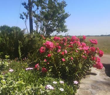 Mahalon Apartment | Plain-pied En Rez-de-jardin