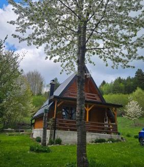 Kupres Ski Chalet | Planinska brvnara