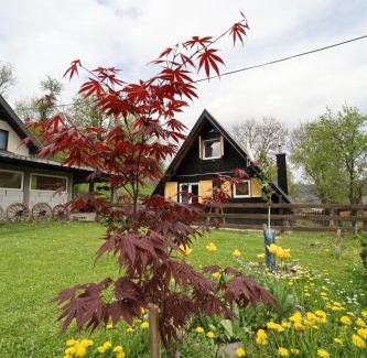 Bajina Basta House | Planinska kuća Bubi - Tara, Zaovine.
