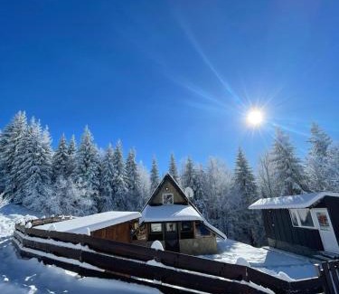 Konjska Reka House | Planinska kuca ANDJELA 1