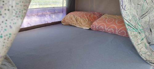 Plav Other | Plav Lake Camping