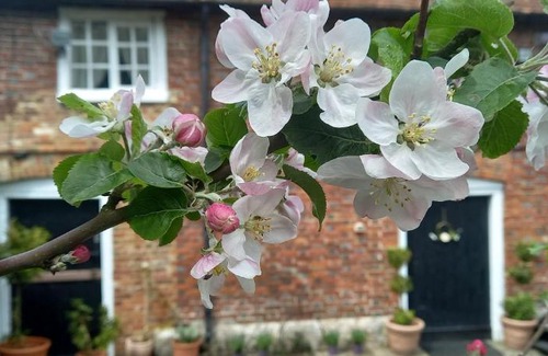 Willesborough Ski Chalet | Plumpton Barn