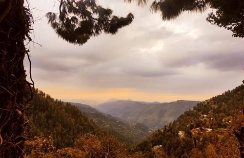 Dhirkot Cottage | Pluto cottage
