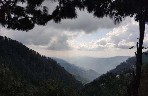 Dhirkot Cottage | Pluto cottage