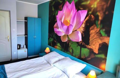 Ustka Bed & Breakfast | Pod Różą B&B