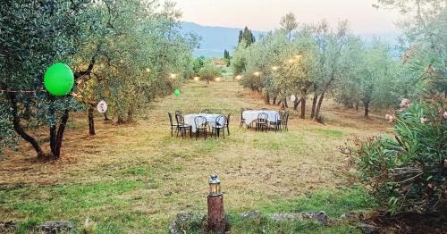 Figline e Incisa Valdarno House | Podere delle Arti