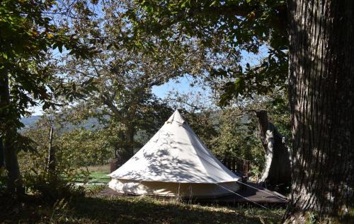 Santa Fiora Other | Podere di Maggio - Glamping tent 2