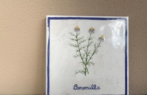 Monsummano Terme Apartment | Podere La Saliciaia
