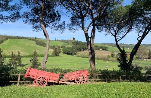 Castelfiorentino House | Podere la Vigna - Piscina e barbecue