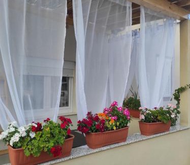 Preko House | Podvršina1A Rosa