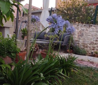 Preko House | Podvršina1A Rosa