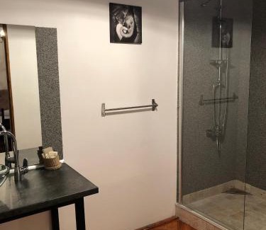 Sibiu Old Town Hotel | Poet Pastior Residence