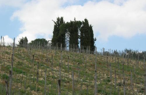 Mercatale Val di Pesa House | Poggio Borgoni