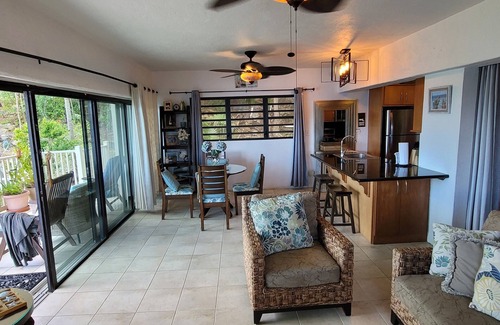 Frydendal Condo | Point Pleasant Resort - Large Luxury oceanfront Villa with Amazing Views!