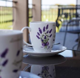 Mikoszewo House | POKOJE GOŚCINNE LAWENDOWY DWÓR