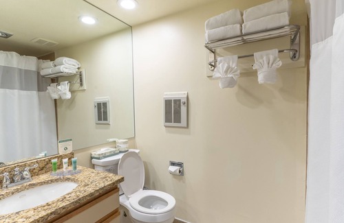 Snowmass Village Hotel | Pokolodi Lodge