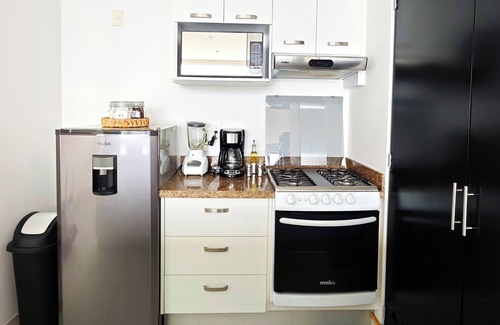 Granada Apartment | Polanco City View Apartment with Private Park Access, High-Speed Wi-Fi and Shopping Center