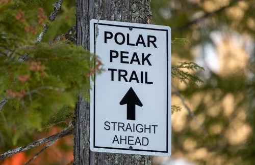 East Kootenay Apartment | Polar Peak by Fernie Central Reservations