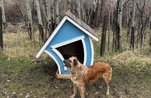 Pony Cabin | Pony, MT — DOGS & HORSES OK — On private creek