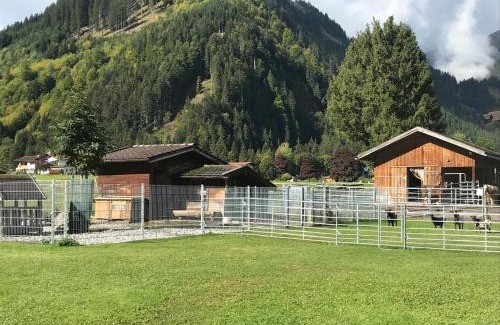 Bichlbach Apartment | Pony-Ziegen-Hasen-Ranch Bichlbach