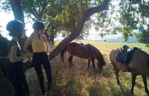 Stara Kamienica House | Ponyhof