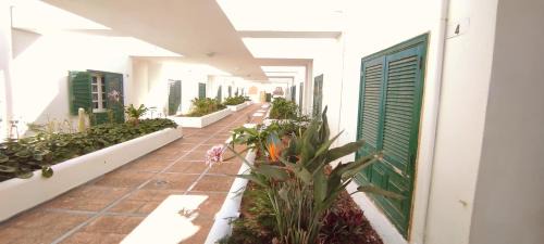 El Medano Apartment | Pool Terrace