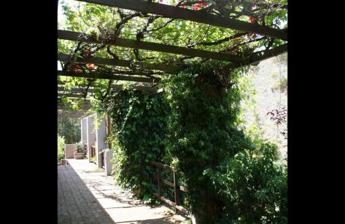 Villiersdorp House | Porcupine Hills Olive and Guest Farm
