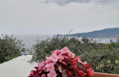Zoagli Bed & Breakfast | portofino view