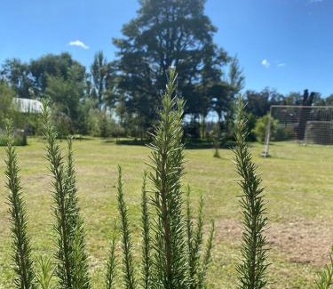 Tandil House | Posada La Misericordia