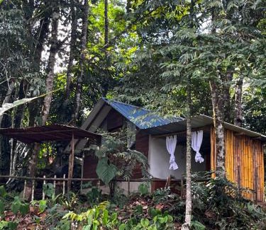 San Luis Hotel | Posadas Entre El Bosque