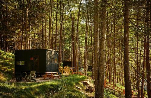 Kettle River Other | Postcard Cabins Kettle River, Outdoor Collection by Marriott Bonvoy
