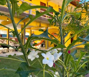 Itaunas Hotel | Pousada Cordel de Itaúnas