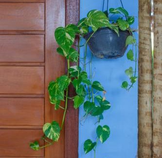 Caraiva Hotel | Pousada Flora Caraiva