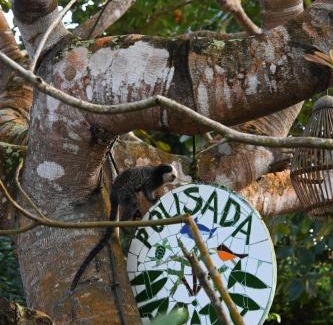 Caraiva Hotel | Pousada Habitat Caraíva
