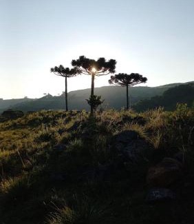Sao Joaquim Cabin | Pousada Recanto da Cascata - Cabana Platano