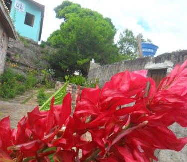 Mucuge Hotel | Pousada Recanto Verde
