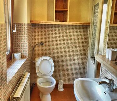 Bovec House | Predel House