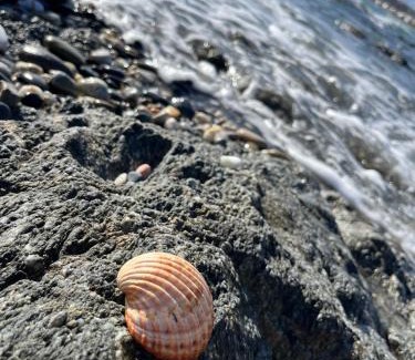 Casares del Mar Apartment | Premium Luxury-Casares Del Mar-Seaside Apartment