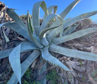 Casares del Mar Apartment | Premium Luxury-Casares Del Mar-Seaside Apartment