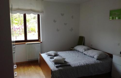 Tolmin Apartment | Pri Mlinarju