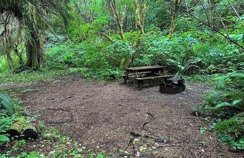 Forks RV Rental | Primitive Tent Site #10- Beautiful Forested Property